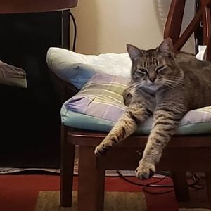 Meet your Posher, Maria